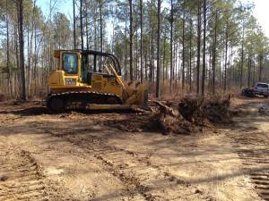 Creating Firebreaks