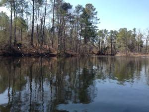 Mill pond view from dam.