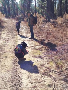 Hikers 